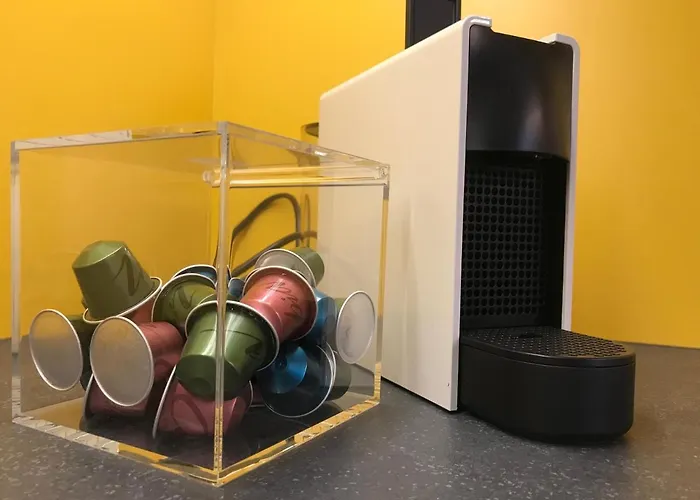 Podebradka Пльзень